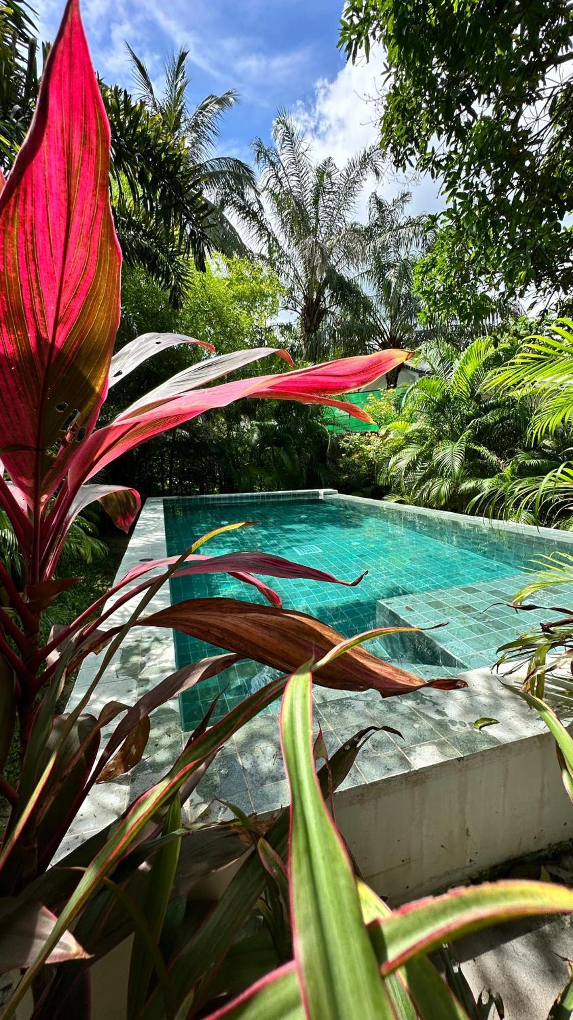 Salad Beach Guest House كو بانغان المظهر الخارجي الصورة